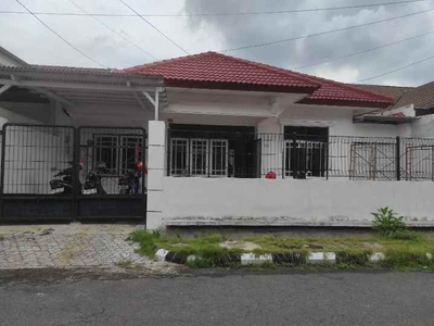 Rumah Full Renov 1 Lantai Di Sutorejo Prima Dekat Pakuwon City