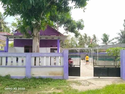 Rumah Kampung Ada Ternak Ikan Lele Di Kedung Dalammauk Tangerang