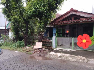 Rumah Murah Hitung Tanah Di Komplek Griya Bintara Indah - Pondok Kopi