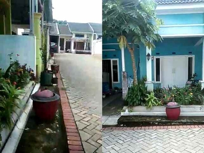 Rumah Sederhana Murah Di Bumiayu Malang