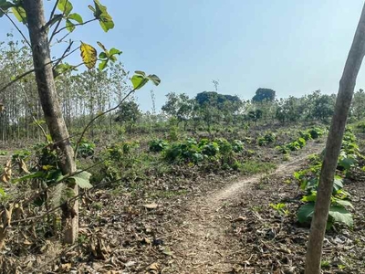 Sebidang Tanah Nol Propinsi Tuban - Babat