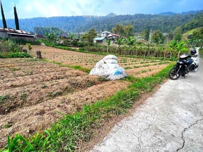 Tanah 175 Juta Utara Telaga Madirda Kemuning