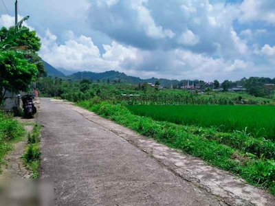 Tanah 2500m2 Cocok Dibangun Villa Karangpandan Karanganyar