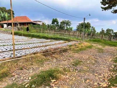Tanah 253m Cocok Dibangun Villa Kemuning Ngargoyoso