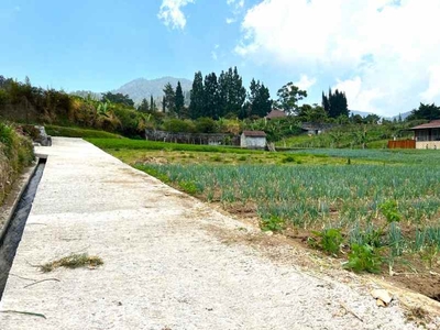 Tanah 800m Cocok Dibangun Villa Tawangmangu Karanganyar