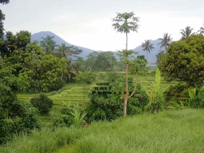 Tanah Aspek Perumahan 15 Hektar Di Penebel