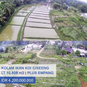 Tanah Beserta Kolam Koi Empang Murah Di Karihkil - Ciseeng Bogor