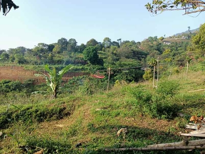 Tanah Best View Di Cijeruk Bogor Gunung Salak Shm