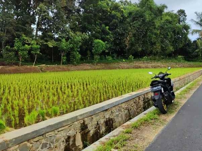 Tanah Cocok Untuk Peternakan Perkebunan Atau Pertanian Di Purwakarta