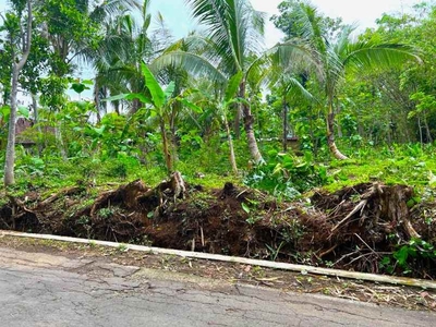 Tanah Datar Strategis Dekat Pasar Batujamus Karanganyar