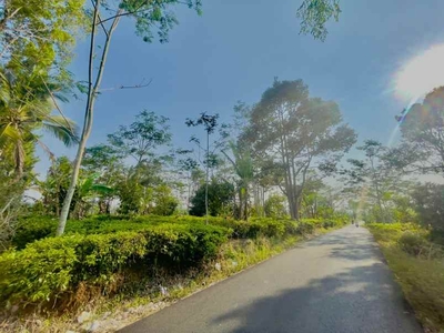 Tanah Dengan View Langsung Ke Gunung