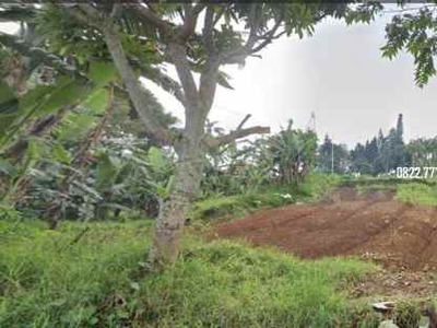 Tanah Di Kawasan Wisata Alam Puncak Dekat Pintu Masuk Taman Safari