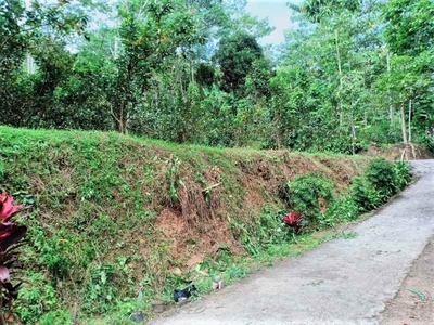 Tanah Di Kota Wisata Ngargoyoso 1000m2 Hanya 200 Juta