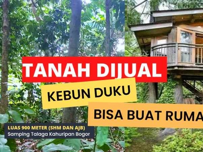 Tanah Dijual Bu Pohon Duku Ada 20 Lebih Surat Sertifikat Di Ciseeng