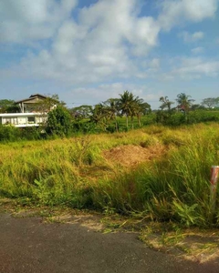 Tanah Dl Pantai Seseh Pererenan Mengwi Canggu Badung Blai