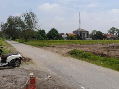 Tanah Jetis Klaten Dekat Candi Prambanan Harga Murah Tepi Jalan Aspal