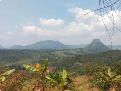 Tanah Jonggol - Akses Bogor Puncak 2