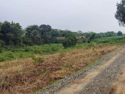 Tanah Kavling Termurah Dekat Rencana Gerbang Tol Bojonggede