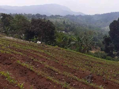 Tanah Kebun Di Cikalongkulon Mekargalih Cianjur