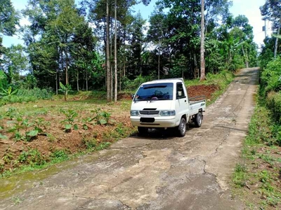 Tanah Kebun Durian Mojogedang Karanganyar