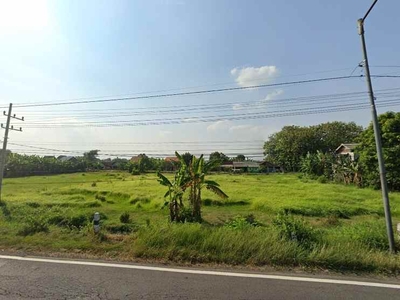 Tanah Komersial Nol Jalan Raya Ploso Jombang Dekat Exit Tol Tembelang