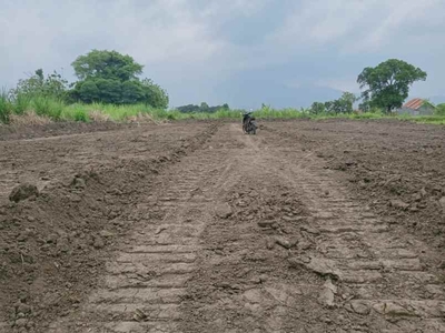 Tanah Milik Pribadi Di Pohjejer-gondang Shm Murah Free Biaya