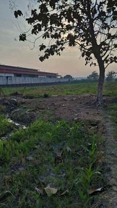Tanah Mojokerto Di Area Industri Cocok Buat Pabrik Hunian Gudang