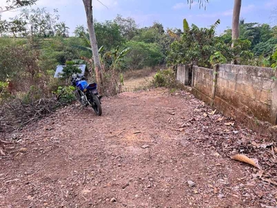 Tanah Murah 1501m 150jt Karangpelem Kedawung Sragen