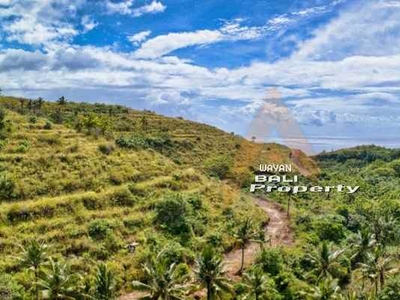 Tanah Murah 2 Hektar View Laut Dekat Bukit Teletubbies Nusa Penida