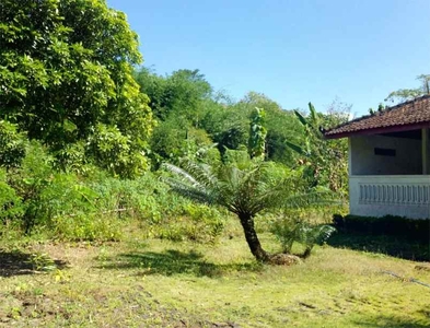 Tanah Perbukitan Indah Tulungagung