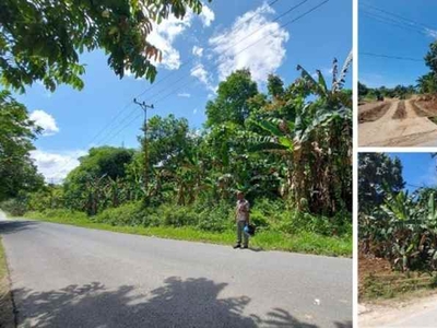 Tanah Sangat Luas Murah Di Aimas Kabupaten Sorong