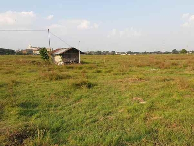 Tanah Sawah 400rb An Tambakromo Cepu Blora