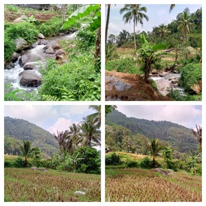 Tanah sawah Produktif Daerah Tanjung Siang Subang Jawa Barat