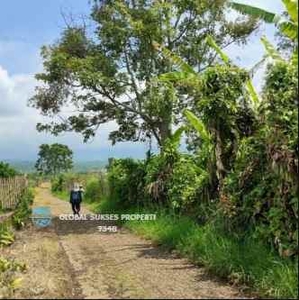 Tanah Super Luas Strategis Cocok Untuk Villa Di Sumbergondo Kota Batu