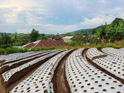 Tanah View Istimewa 200m Kemuning Karanganyar