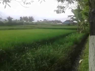 Tanah View Sunset Green View Di Badung Bali Pas Untuk Resortvilla