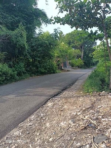 Tanah Zona Kuning Di Jalan Utama Belimbing Sari Pecatu Bali