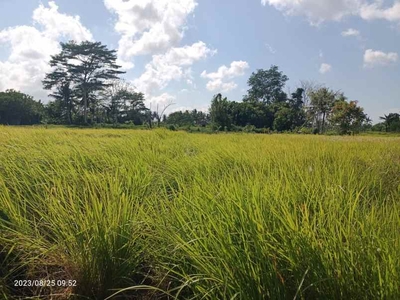 Tanah Zona Kuning Di Ubud Bali 10 Menit Ke Ubud Center