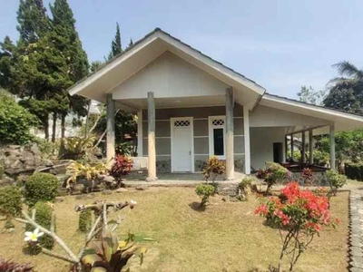 Villa Shm Siap Huni Daerah Gadog Kabupaten Bogor