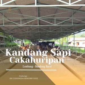 Jual Kandang Peternakan Sapi Dan Villa Di Cikahuripan Lembang Bandung
