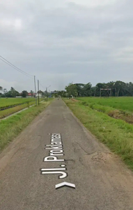 Dijual sawah produktif panen 3x pertahun