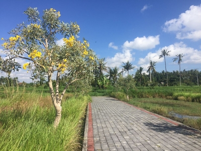 Dijual Tanah Kavling 121 m2 di Pering - Gianyar - Bali