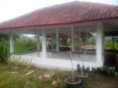 Dijual Tanah Kebun di Ciwidey Kecamatan Pasirjambu