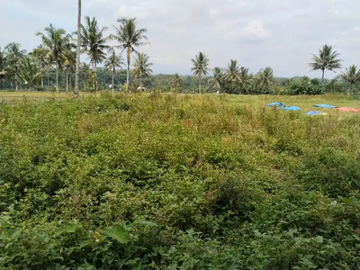 Dijual Tanah Sawah di Salakan, Mertoyudan Dekat Mal Artos