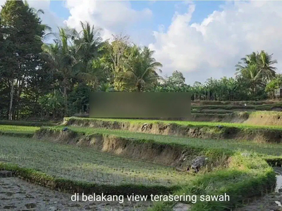 Jarang ada, Tanah view sawah di jalan raya utama Capella resort