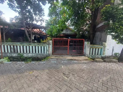 Rumah Murahh Mojo Dekat RS Sutomo & Univ Unair Cocok untuk Kost-kosan