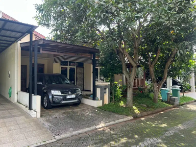 rumah sewa dekat undip, graha estetika