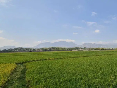 Sewa Jual Tanah Strategis Area Industri Majalaya Bandung