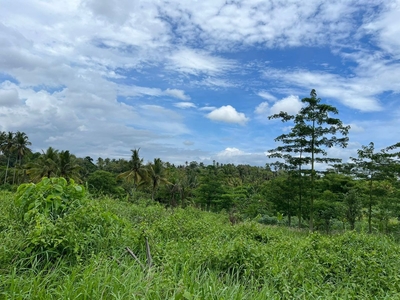 Tanah area Tabanan dekat perumahan