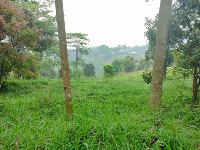 Tanah best view nuangsa pegunungan di cijeruk